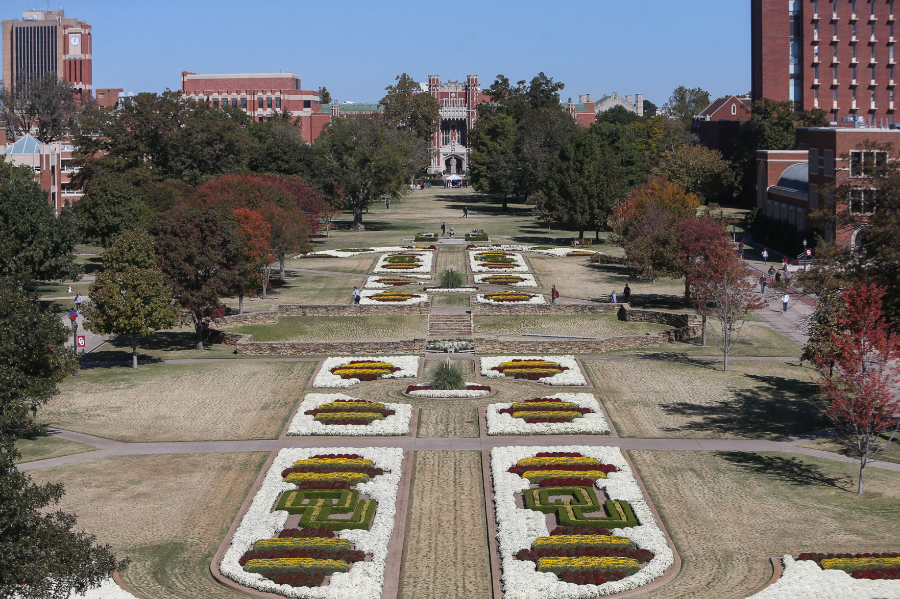 South Oval Mums